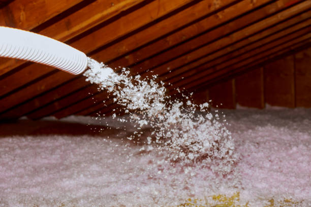 Best Cellulose Insulation in Saginaw, TX