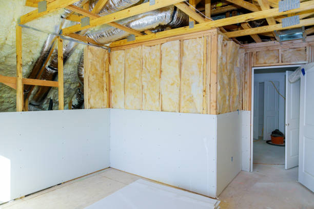 Best Eco-Friendly Insulation in Saginaw, TX